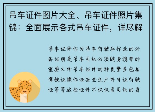 吊车证件图片大全、吊车证件照片集锦：全面展示各式吊车证件，详尽解读吊车证件要点