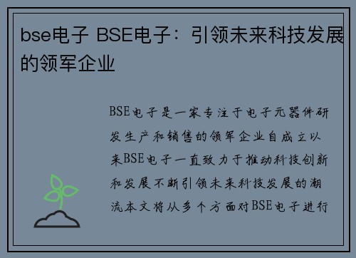 bse电子 BSE电子：引领未来科技发展的领军企业